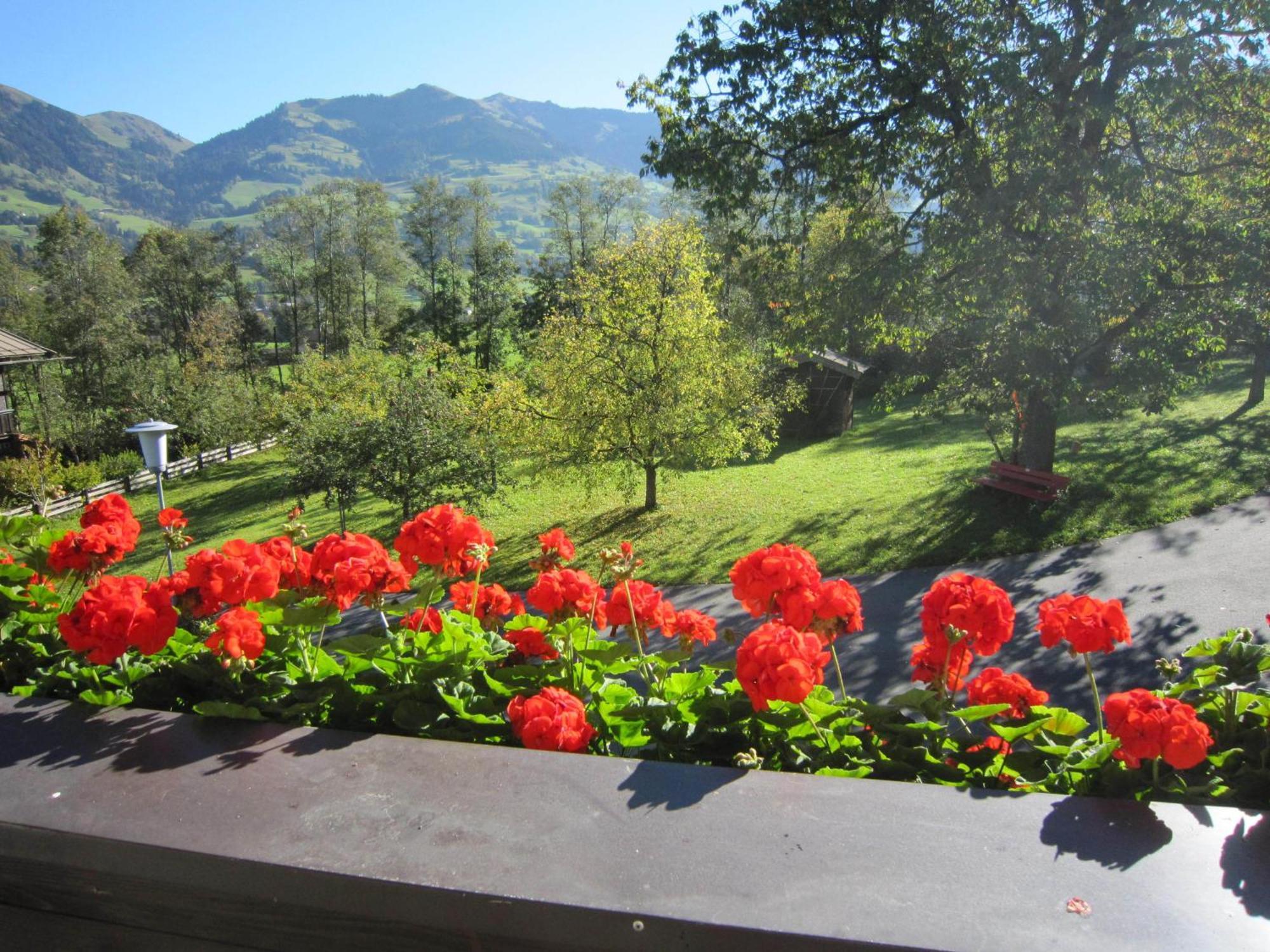 Pension Feiersinger Kitzbühel Exteriör bild